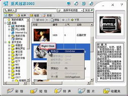 数字时代的技术革新 天极网与亘天炫彩2003引领创意软件开发新浪潮